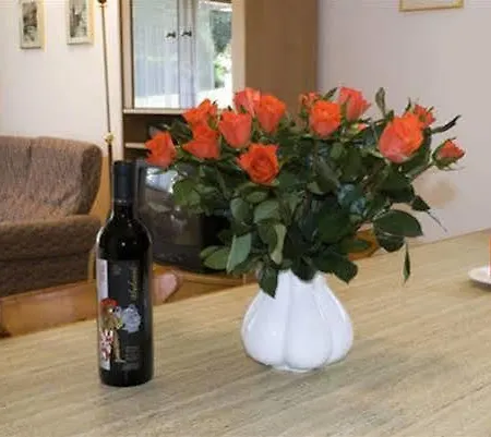 Felicé Appartement *