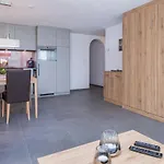 菲利斯度假别墅酒店 公寓 *