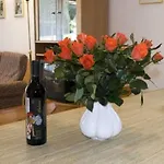 菲利斯度假别墅酒店 公寓 *